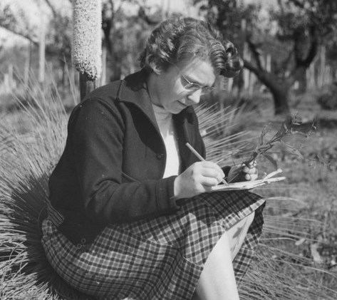 A woman sketches a plant cutting while sitting on a grass tree. 