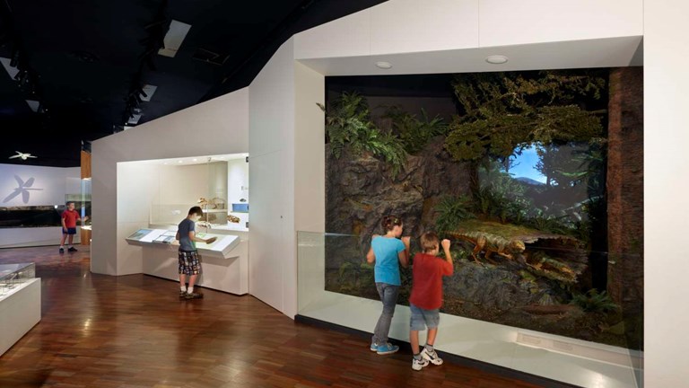 children in a museum gallery