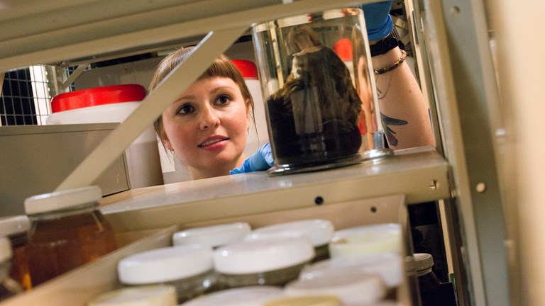 Woman looking through collection store shelves