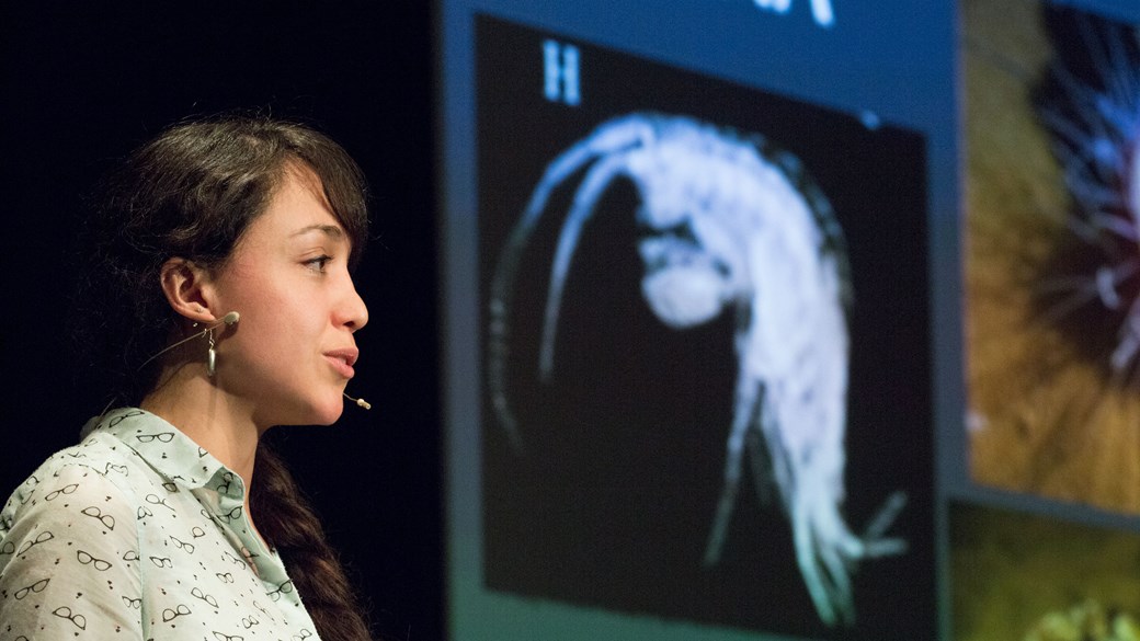 Lupita Bribiesca, Phd candidate, presenting a talk as part of the 'Meet the Scientists' program at Melbourne Museum Theatre.