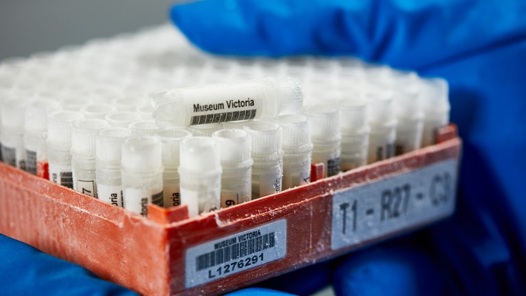 Specimen box storage for the liquid nitrogen cryofacility freezing tank, Ian Potter Bio-Bank.