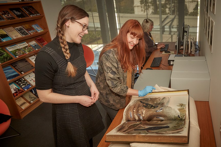 A museum librarian showing a rare book in the Library's Reading Room at Melbourne Museum