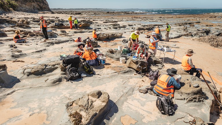 People wearing high vis working on a beach