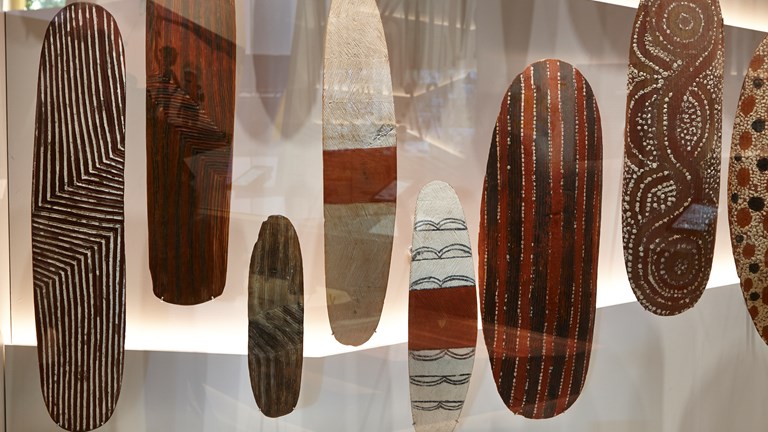 Various indigenous Shields in display case