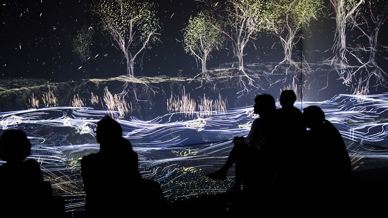 Wall and floor projections in the Learning Lab showcase.