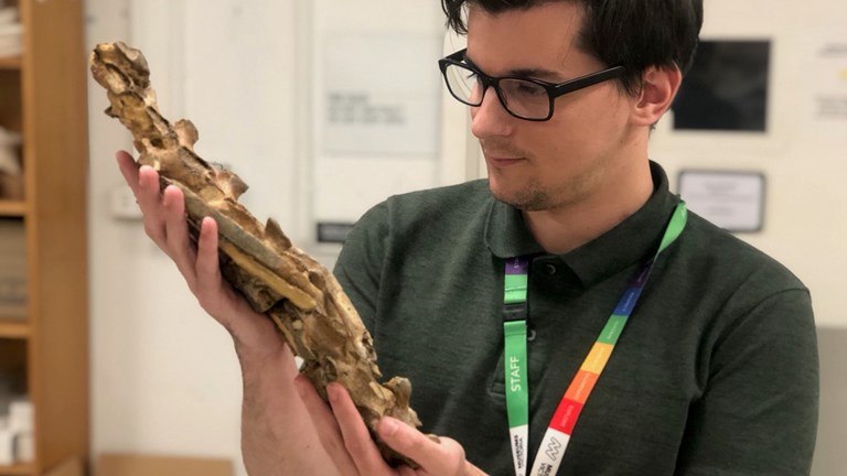 A young man holds a fossil.