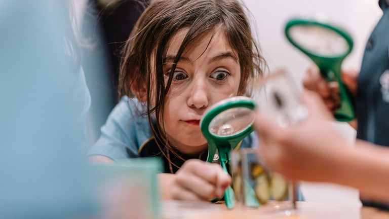 Child looking through a magnifying glass at bug specimens in resin. 