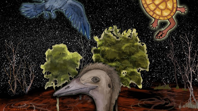 An illustration from Story in the Stars of an emu, crow and turtle