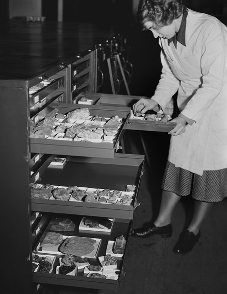 a woman in a lab coat opens large drawers filled with crystals