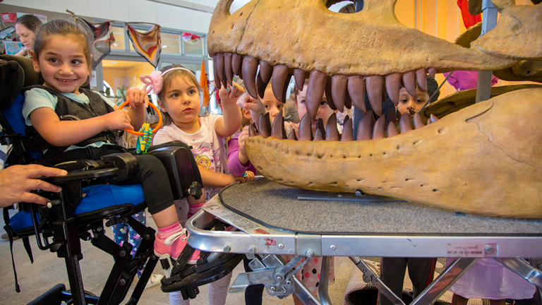 Children in wheelchairs playing with the teeth of a dinosaur. Text reads "accessibility and Inclusion Action Plan 2024-2027. Museums Victoria Logo.