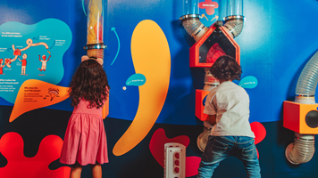 Children place different objects into entry points leading to a tangled web of tubes.