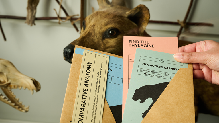 Student hand holding booklet with colour coded worksheets linking to the Museums Victoria Institute Gallery at Melbourne Museum. Background of the image is the face of a taxidermy Thylacine. 